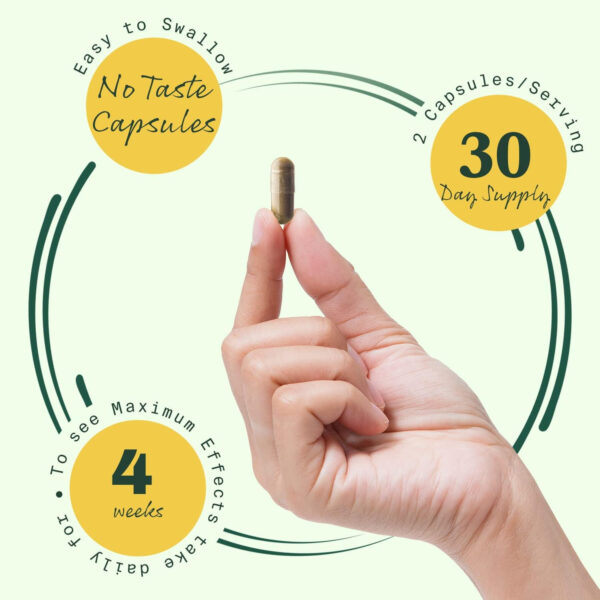 mullein extract capsule
