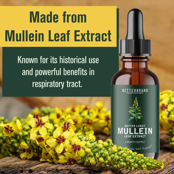 mullein extract liquid