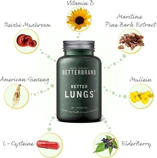 mullein extract capsule information about the product ingredients including vitamin D, reishi mushroom, American Ginseng, L-cysteine, Maritime Pine Bark extract, mullein, and elderberry